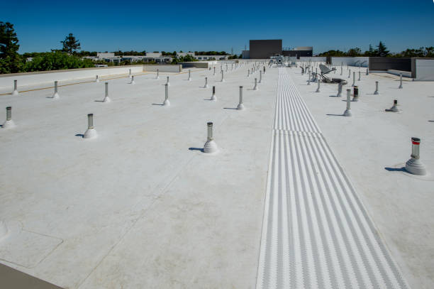 Asphalt Shingles Roofing in Bellevue, IL